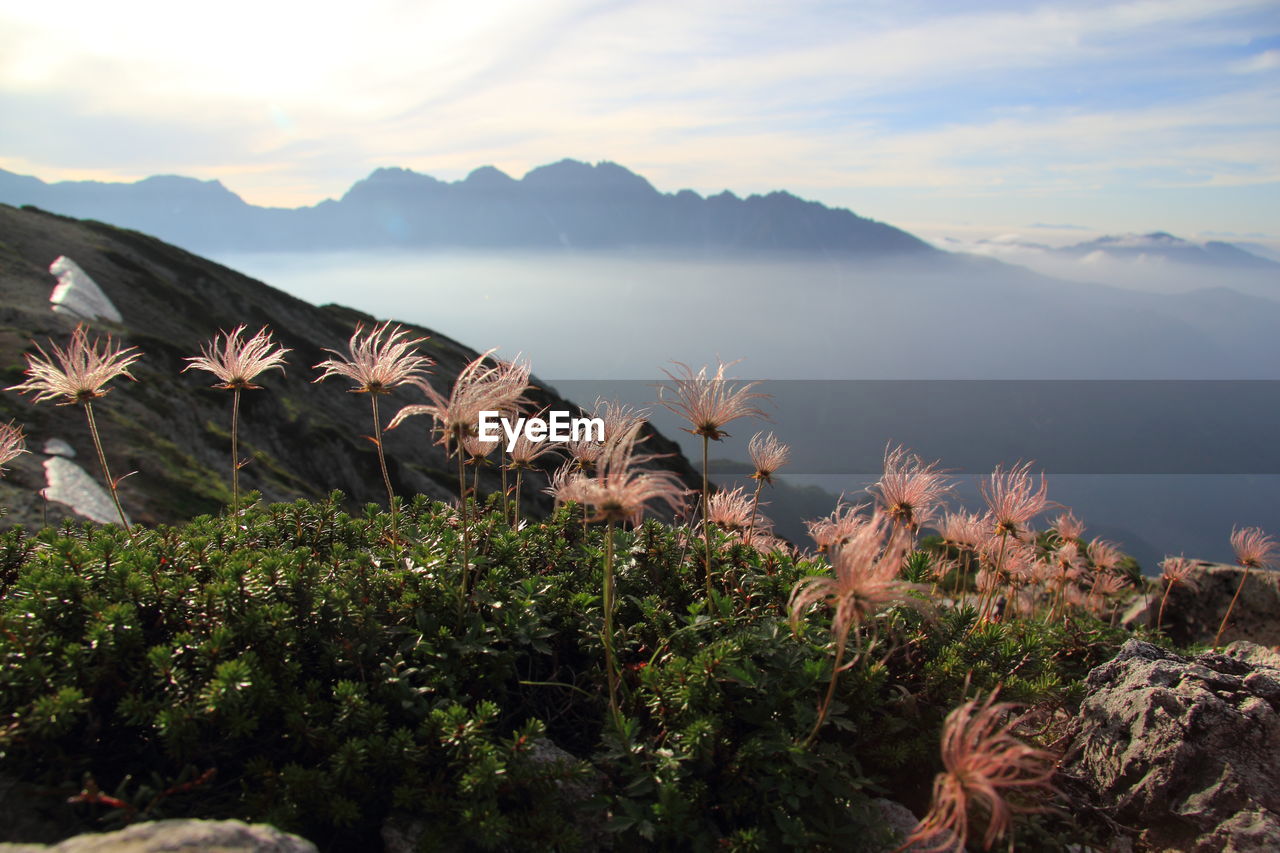 Scenic view of sea against cloudy sky