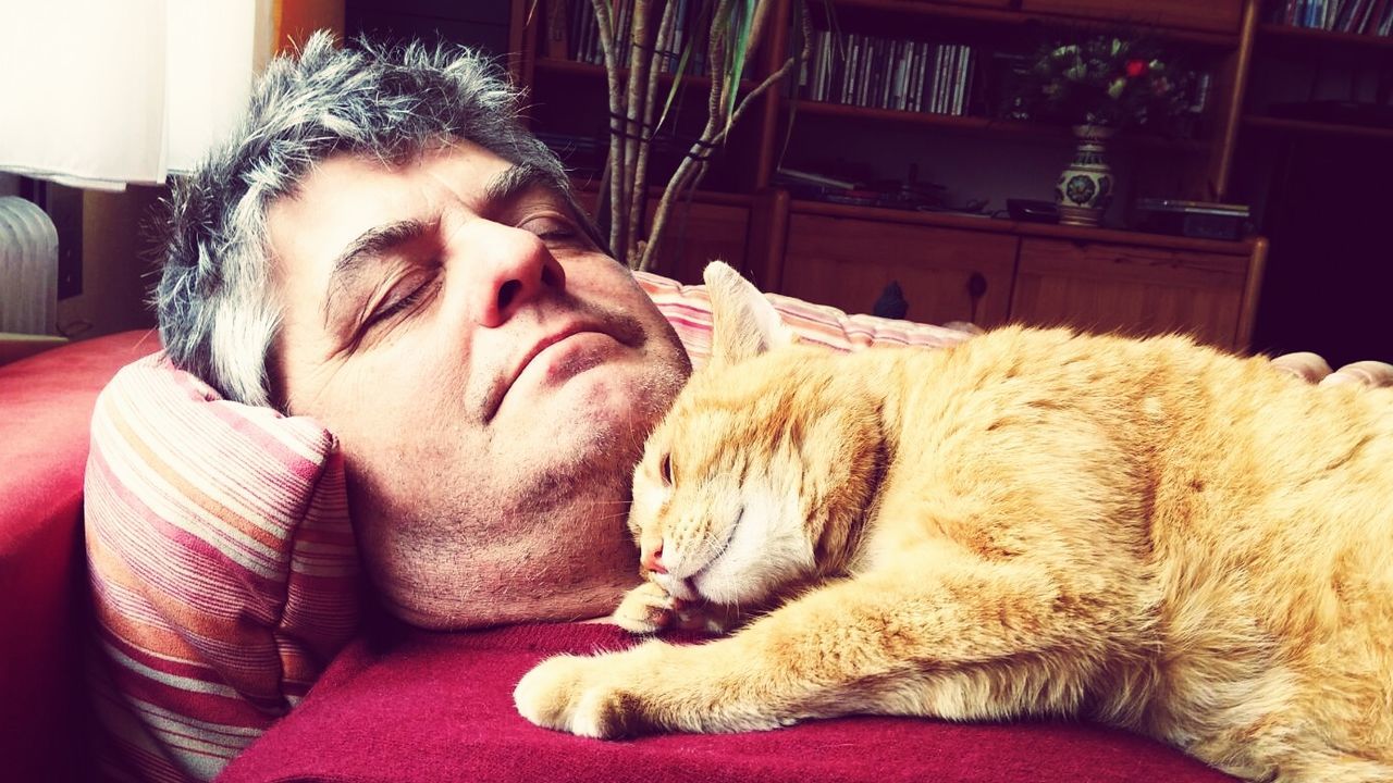 Man sleeping with cat on bed at home