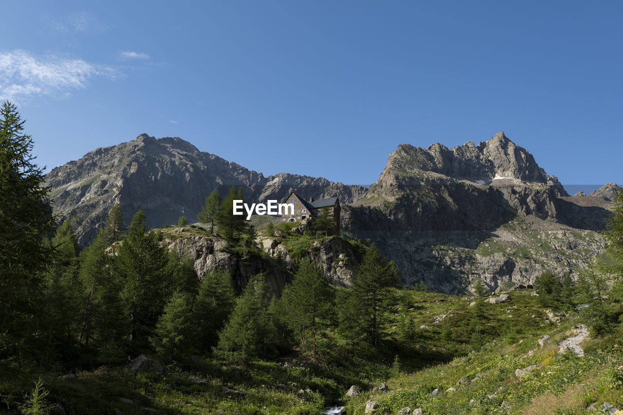 mountain, mountain range, sky, scenics - nature, tree, plant, beauty in nature, wilderness, environment, landscape, nature, land, pine tree, ridge, travel destinations, coniferous tree, pinaceae, adventure, travel, forest, walking, no people, pine woodland, mountain pass, mountain peak, tourism, plateau, valley, non-urban scene, rock, clear sky, tranquility, blue, outdoors, tranquil scene, backpacking, day, activity, leisure activity, cloud, green, sunny, meadow, architecture, idyllic, summer, snow, trail