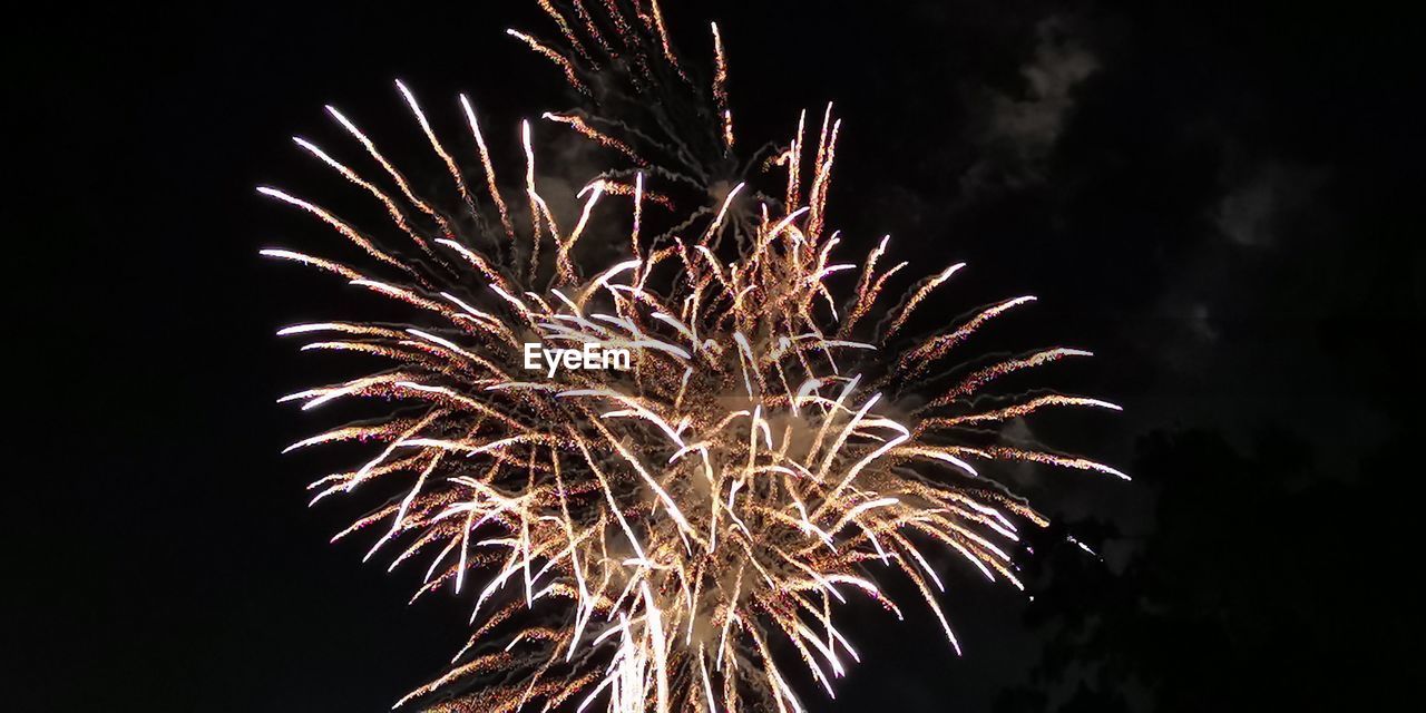 Low angle view of firework display at night