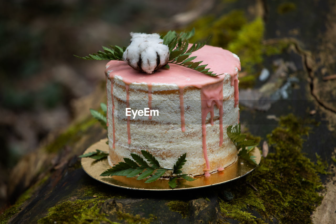 High angle view of cake in plate on retaining wall