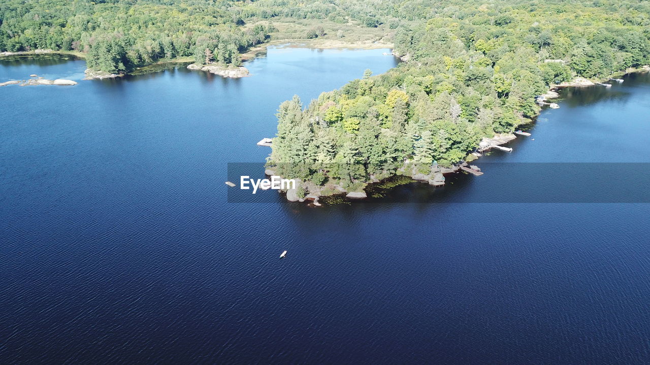 High angle view of plants by lake