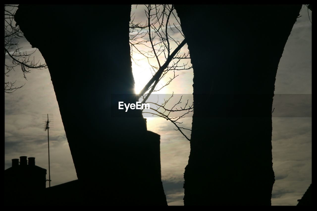 LOW ANGLE VIEW OF SILHOUETTE BARE TREES AGAINST SUNSET