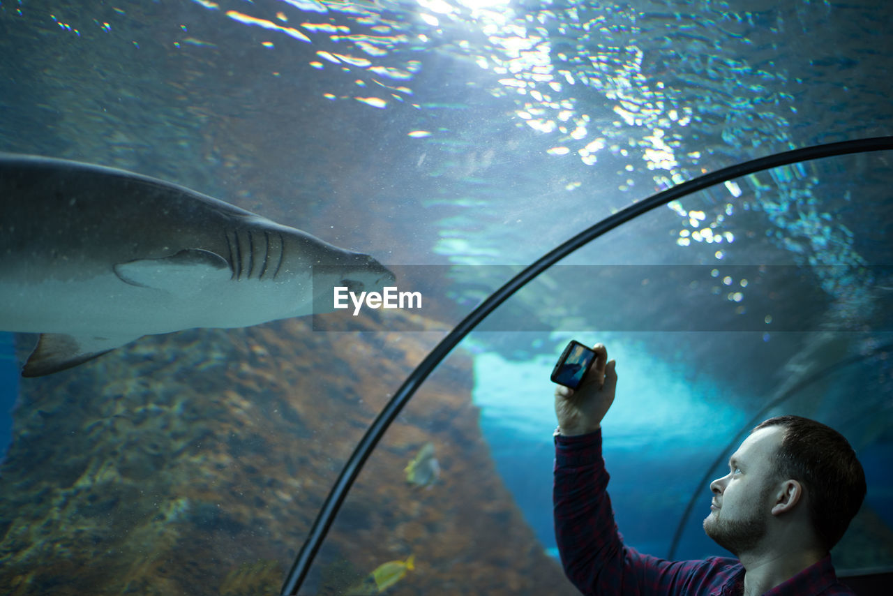 Young man photographing fish in aquarium