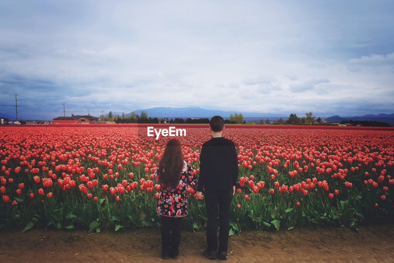 Rear view of man and woman standing against tulips field