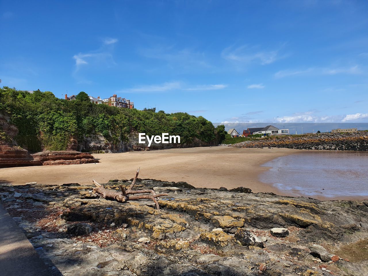 Scenic view of beach against sky