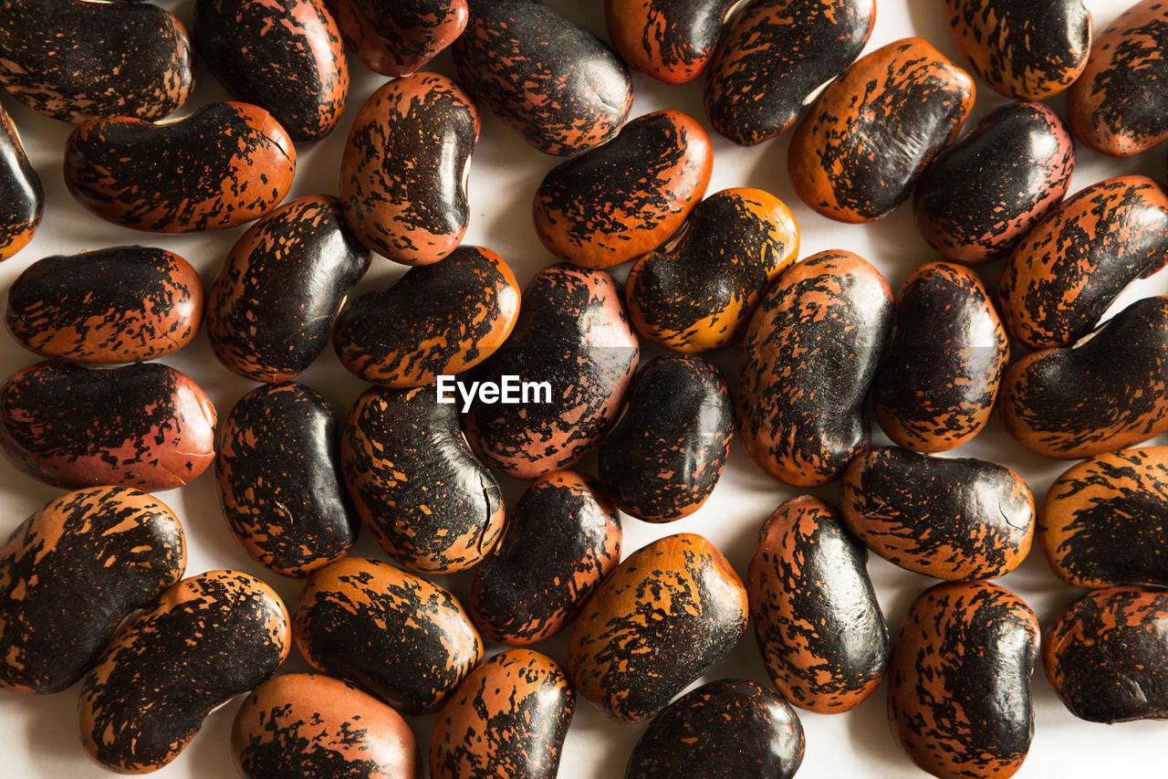 Red and black spotted beans close-up. the pattern of the haricot, background, texture. 