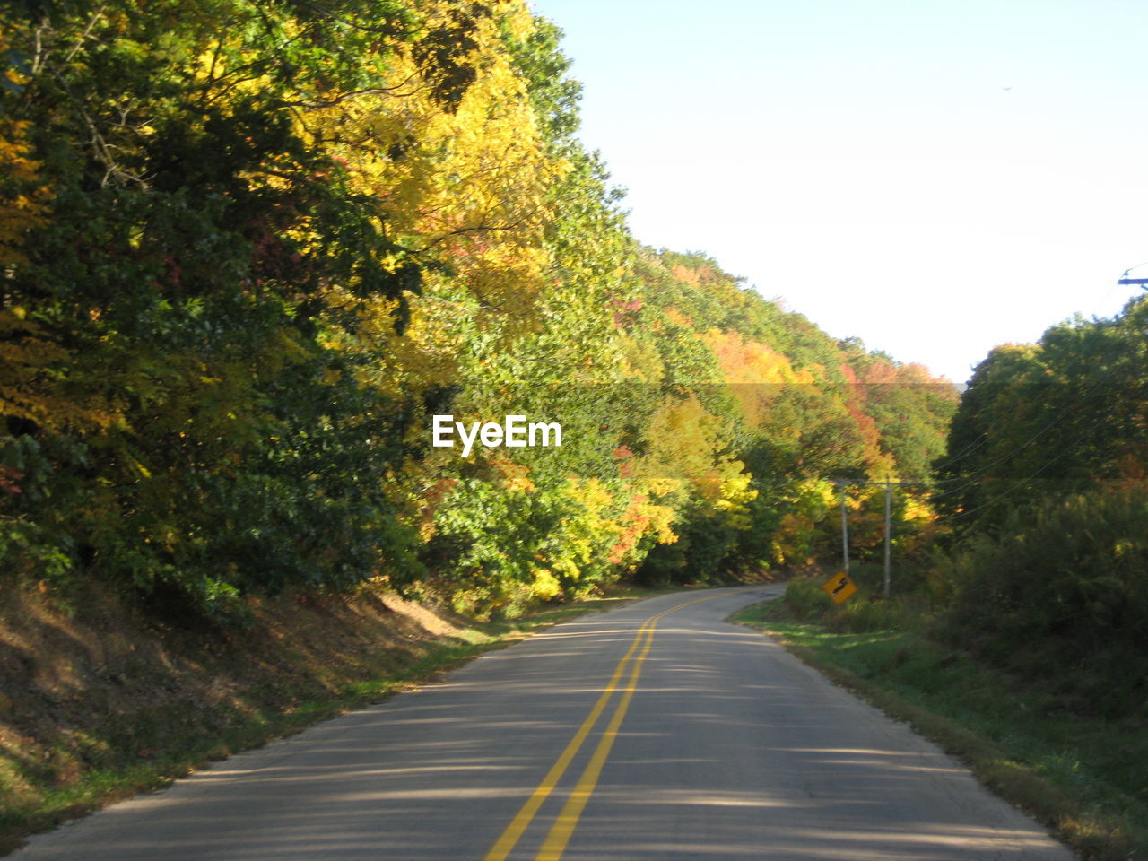 ROAD AMIDST TREES AND SKY