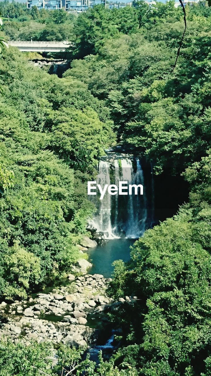 SCENIC VIEW OF WATERFALL AT FOREST