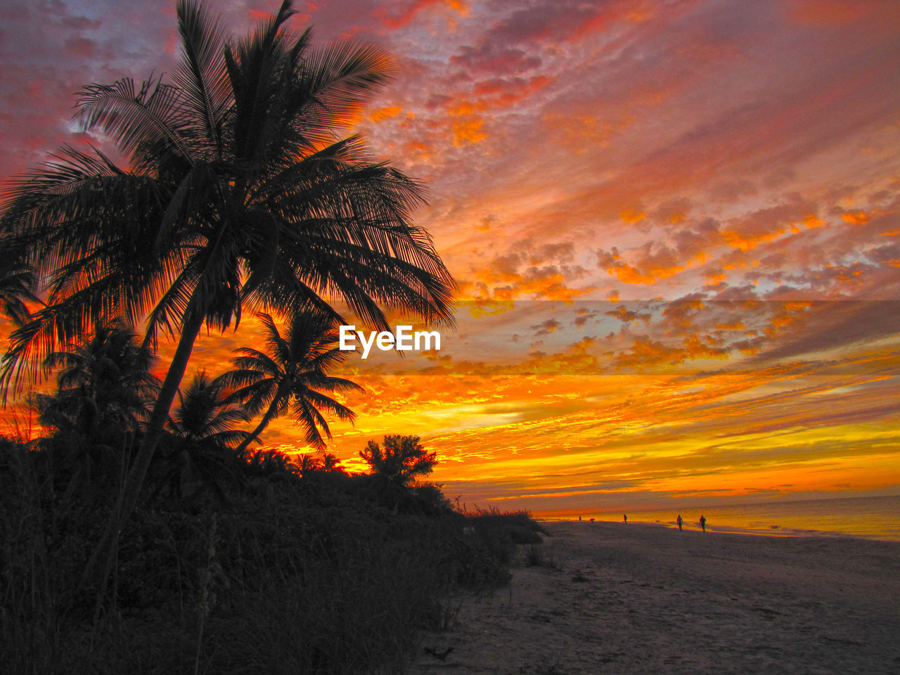 SILHOUETTE PALM TREES AT BEACH DURING SUNSET