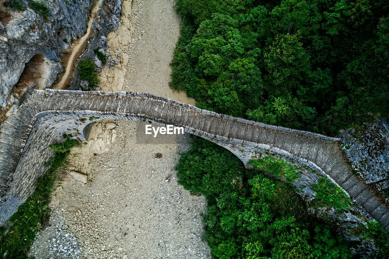 High angle view of arch bridge amidst trees