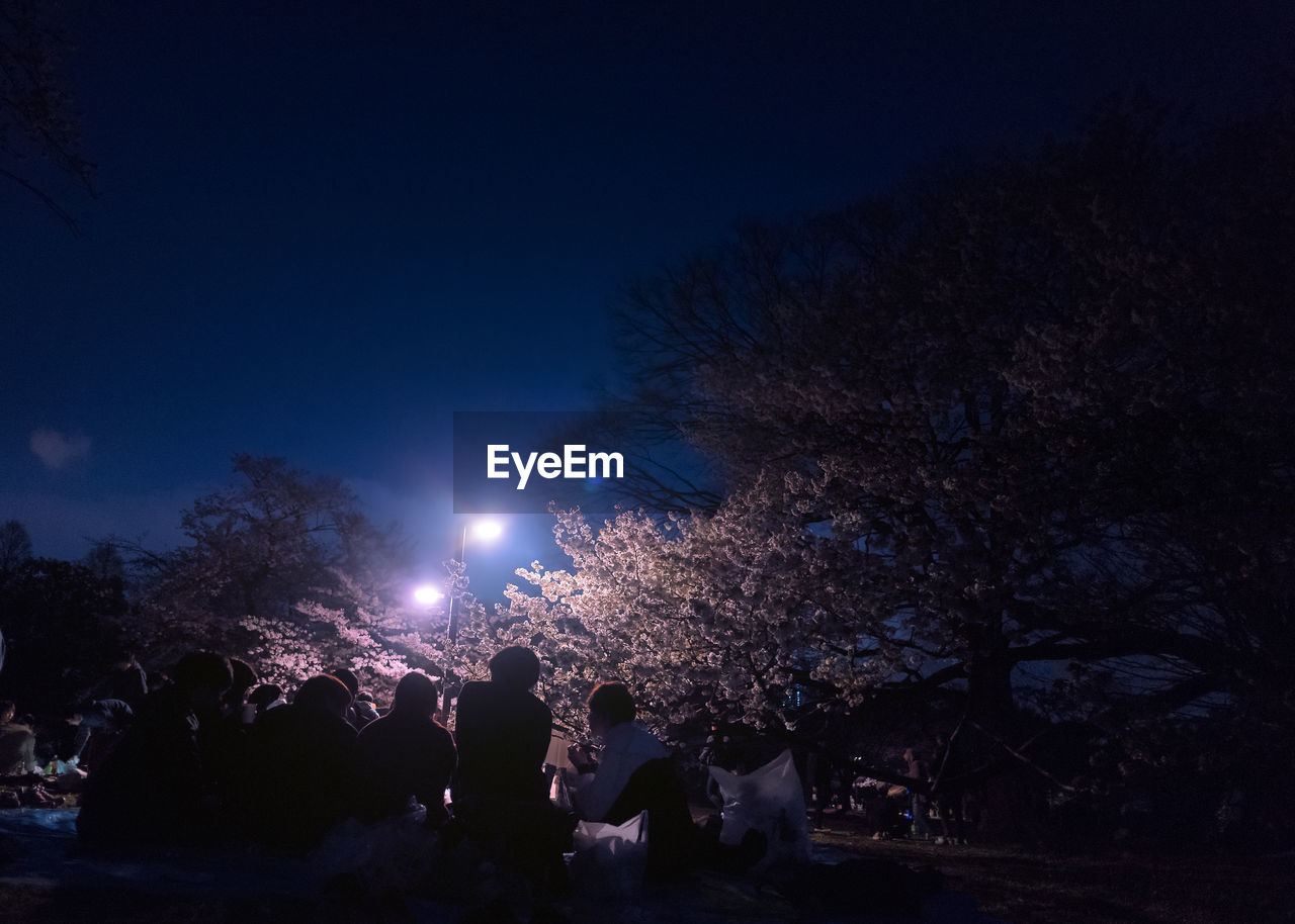 SILHOUETTE PEOPLE AGAINST ILLUMINATED TREES AT NIGHT