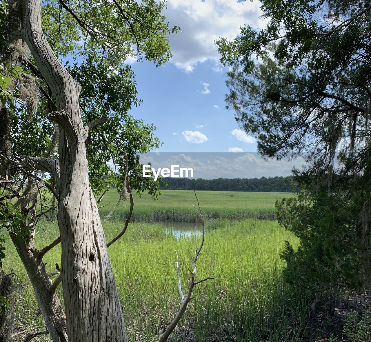 SCENIC VIEW OF LAND AGAINST SKY