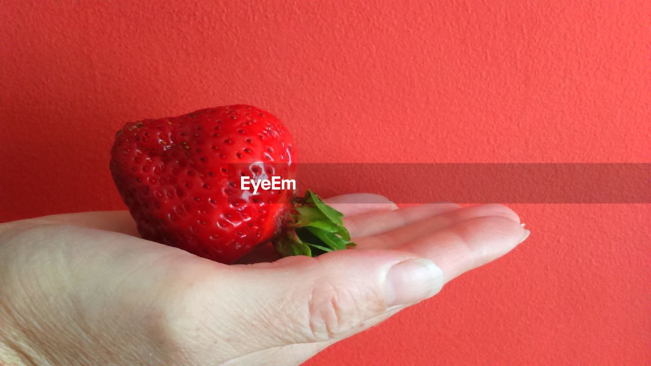 Cropped image of woman hand holding strawberry
