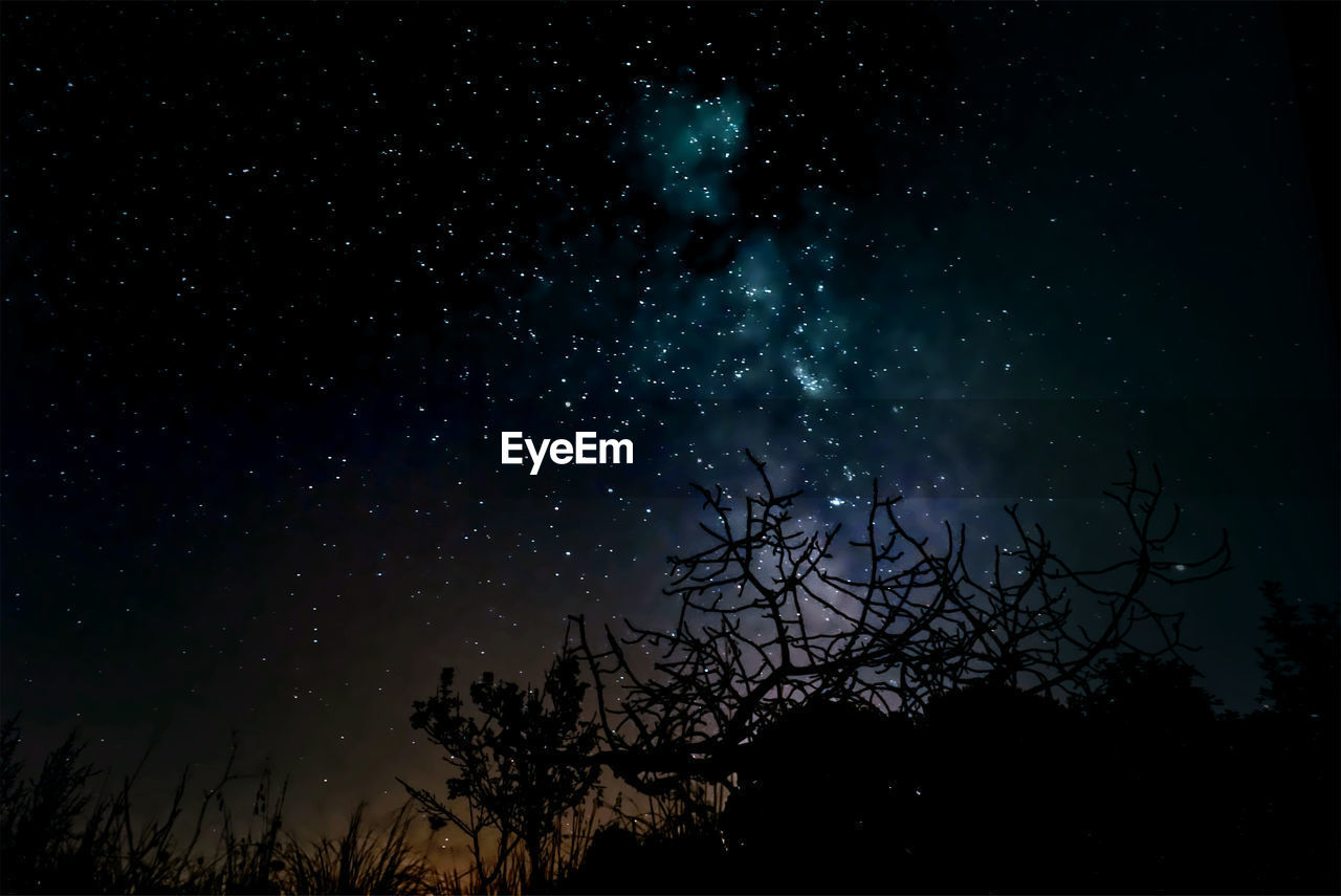 Low angle view of silhouette trees against sky at night