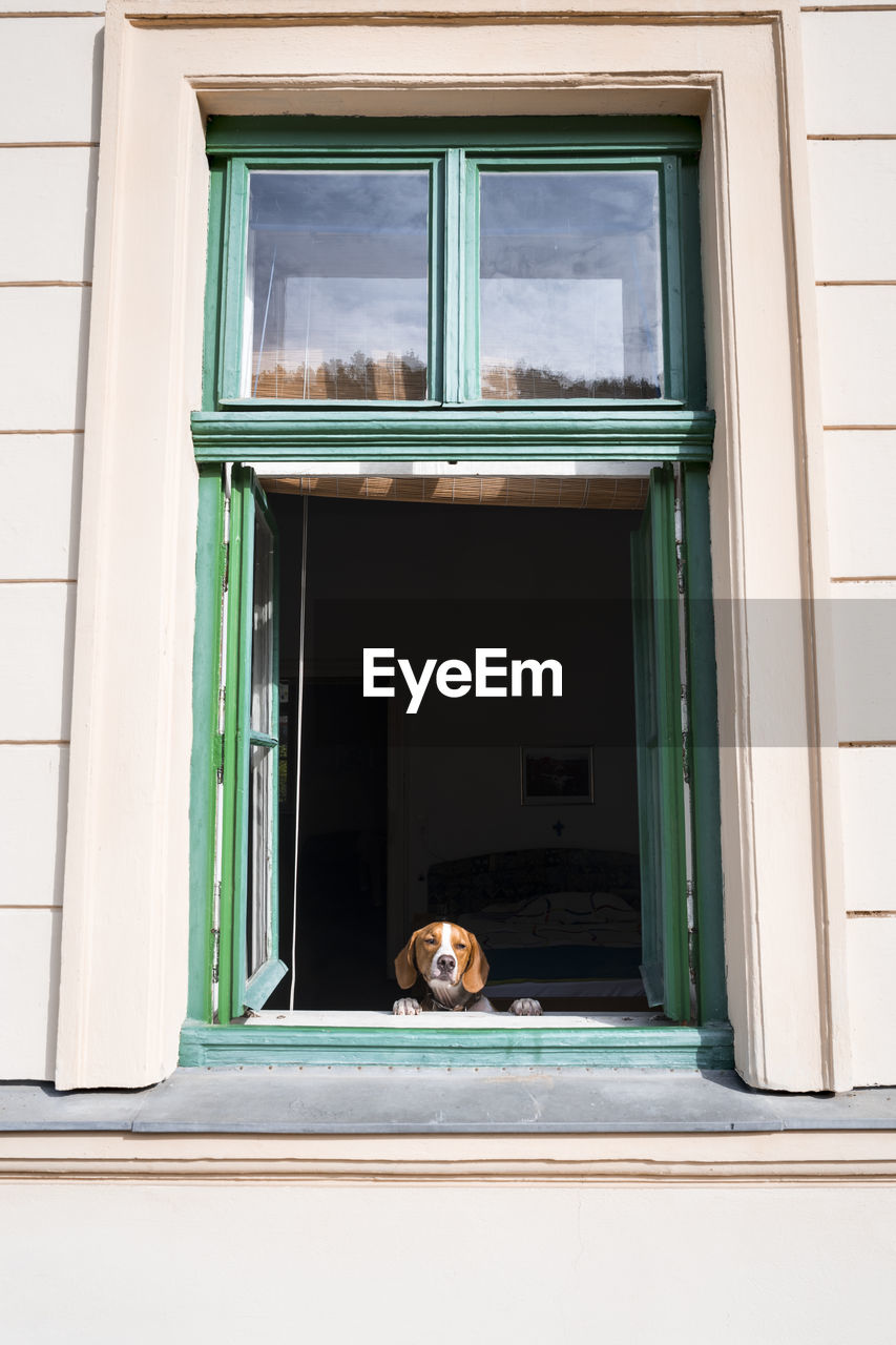 PORTRAIT OF WOMAN LOOKING THROUGH WINDOW