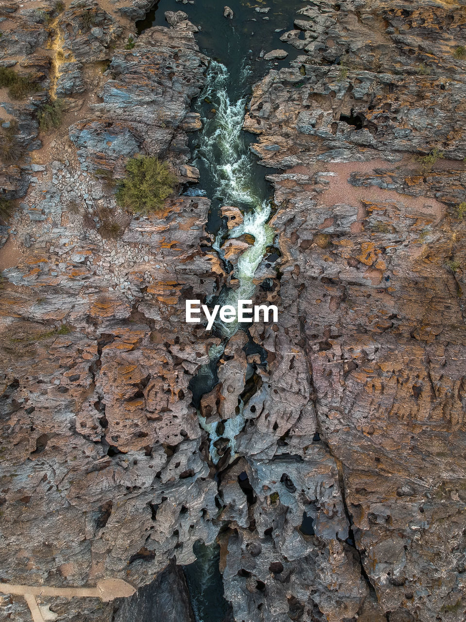 FULL FRAME SHOT OF DEAD TREE TRUNK