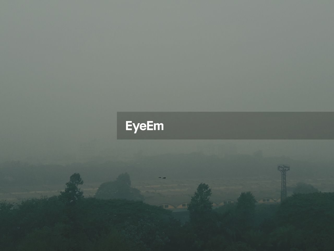 TREES ON LANDSCAPE AGAINST SKY IN FOGGY WEATHER