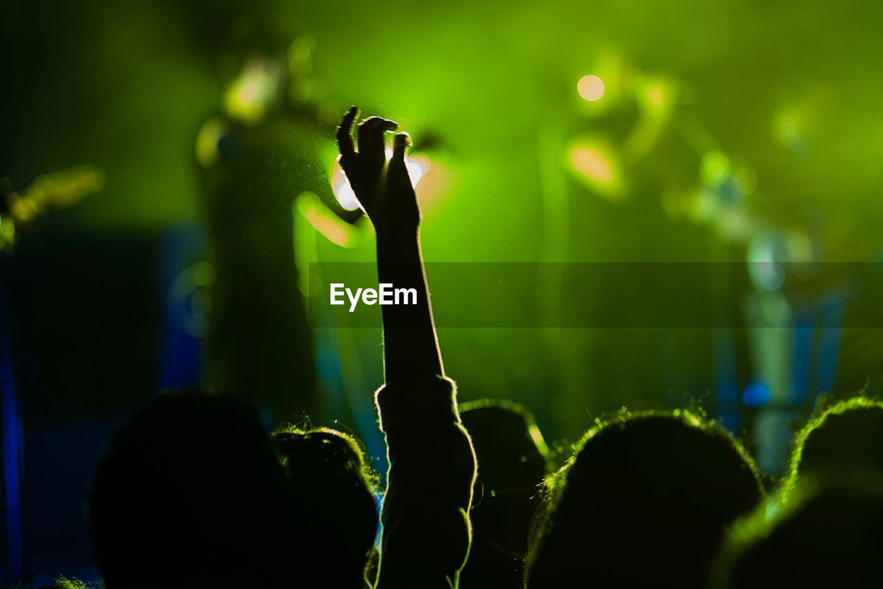 Rear view of people enjoying music concert