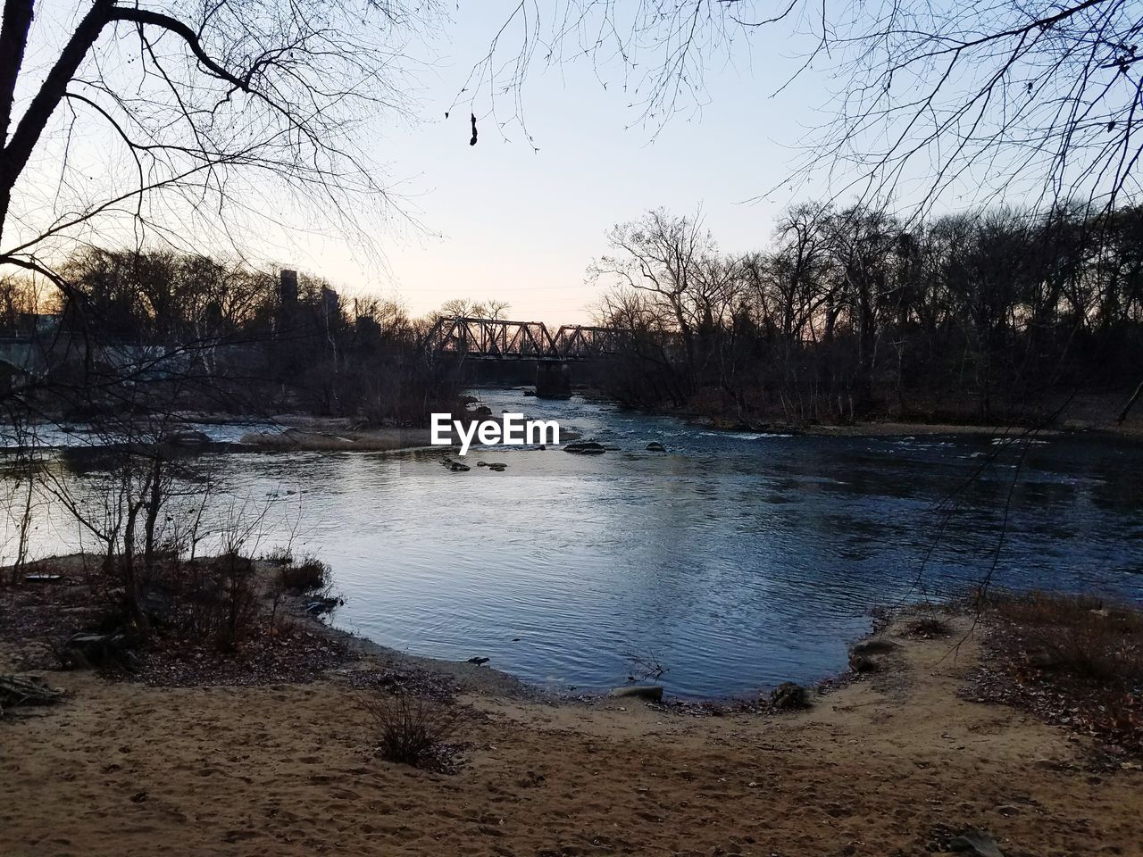 BIRD ON LAKE AGAINST SKY