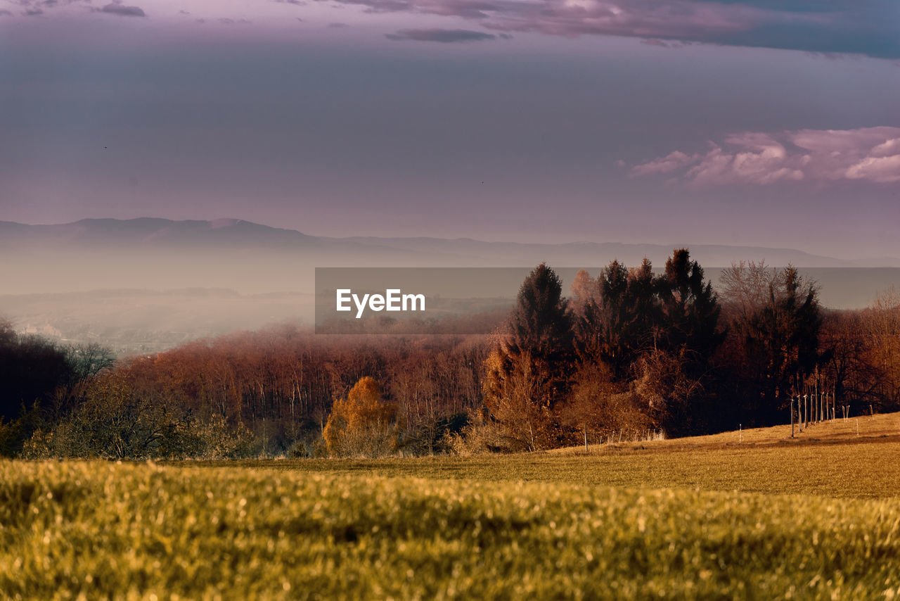 Scenic view of field against sky during sunset