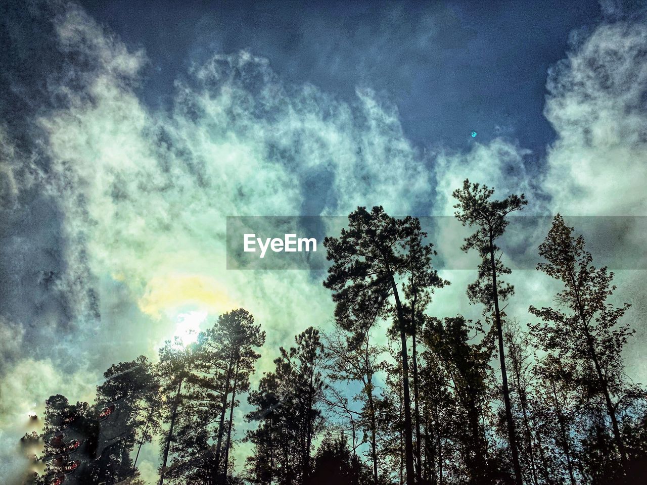 LOW ANGLE VIEW OF SILHOUETTE TREE AGAINST SKY