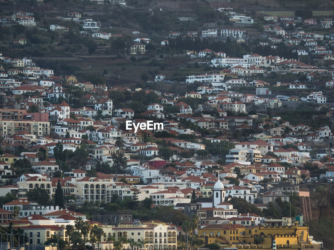 Funcha on the island of madeira