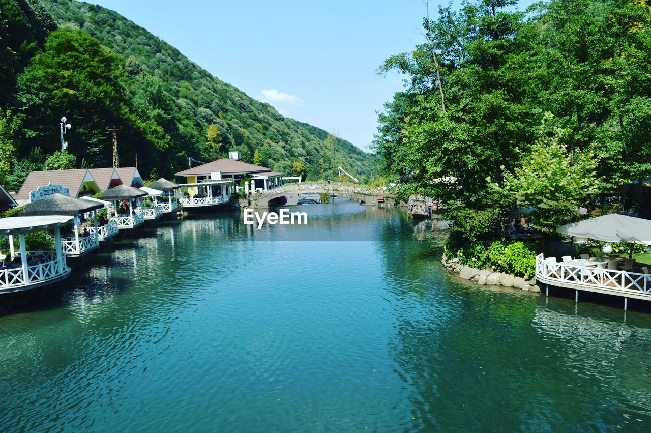 SCENIC VIEW OF RIVER BY TREES AGAINST SKY