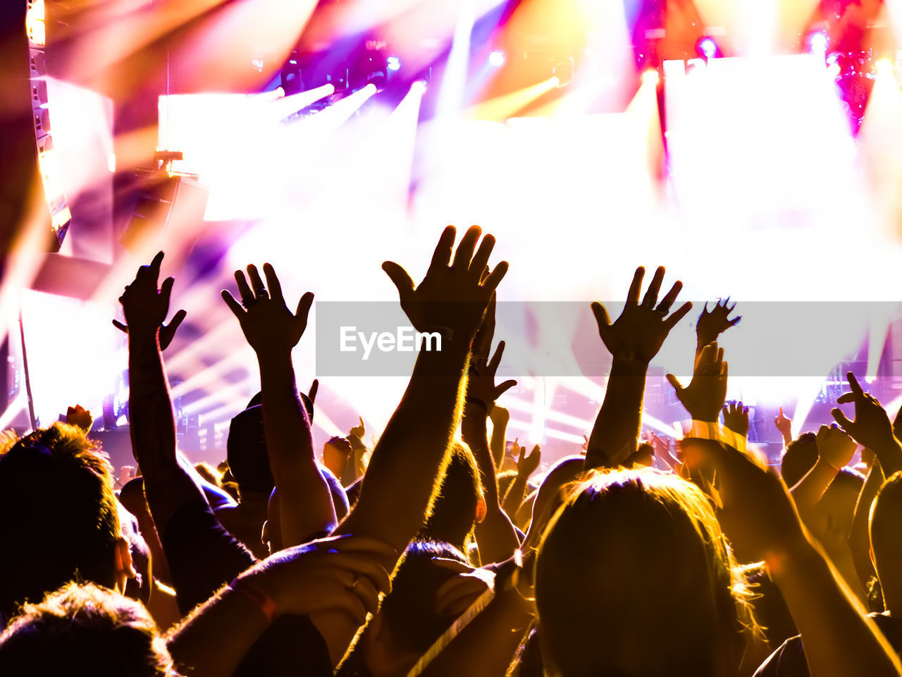 Cheering young people at a rock concert