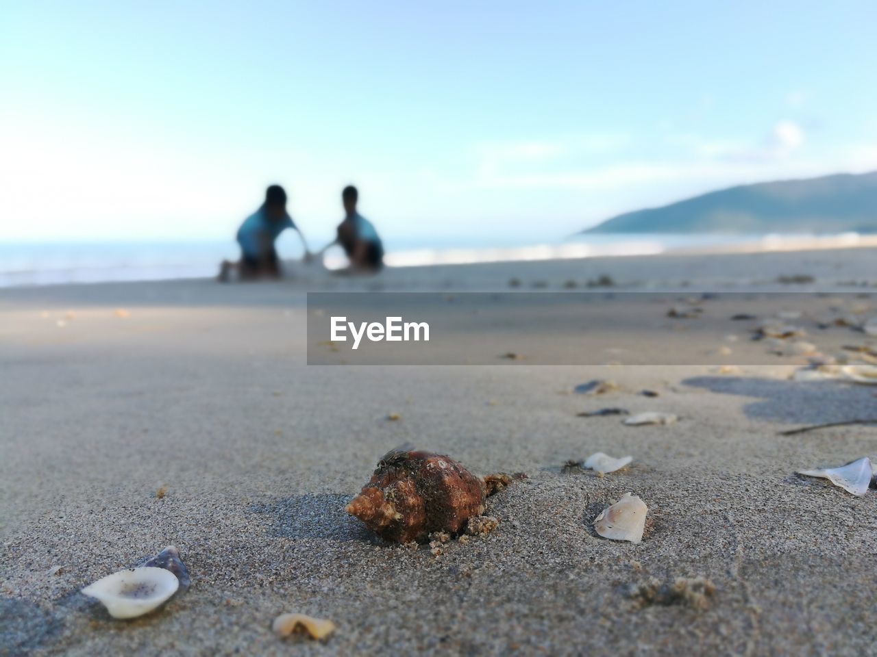 SURFACE LEVEL OF SANDY BEACH