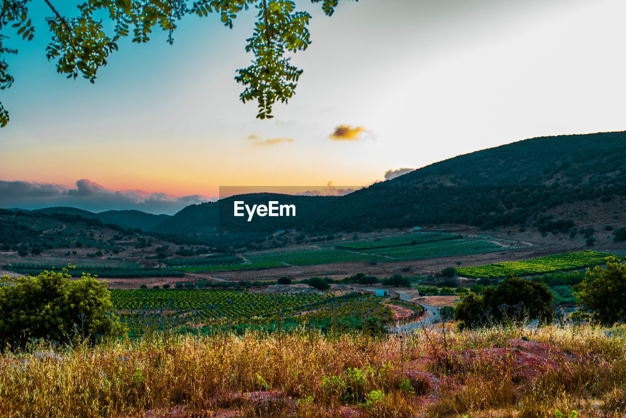 SCENIC VIEW OF FIELD AGAINST SKY AT SUNSET