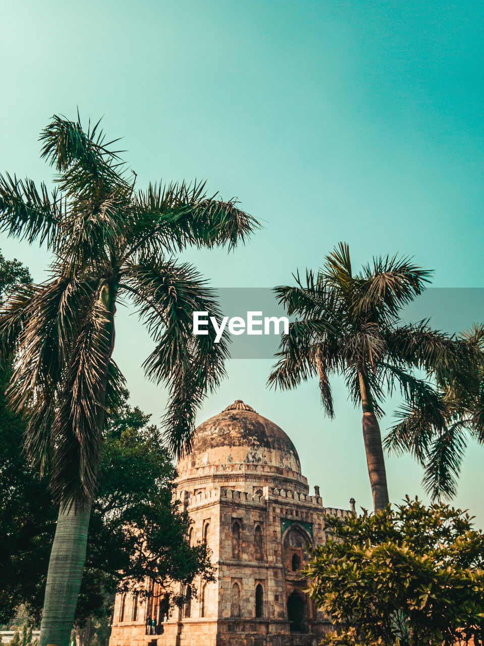 tree, palm tree, tropical climate, architecture, travel destinations, plant, history, travel, the past, sky, built structure, nature, tourism, building exterior, religion, ancient, date palm tree, outdoors, city, no people, belief, date palm, place of worship, building, clear sky, sunny, landmark, temple - building, day, spirituality