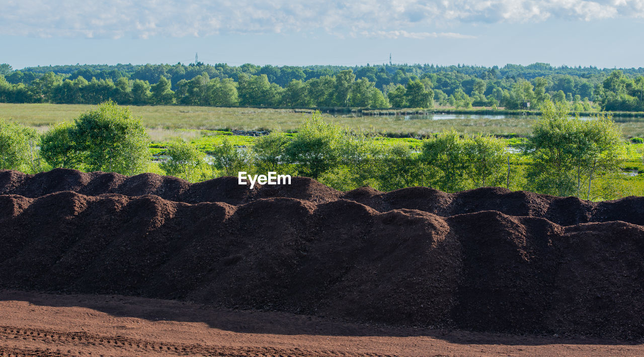 Peat extraction area in a bog landscape in the sky bog near hamburg