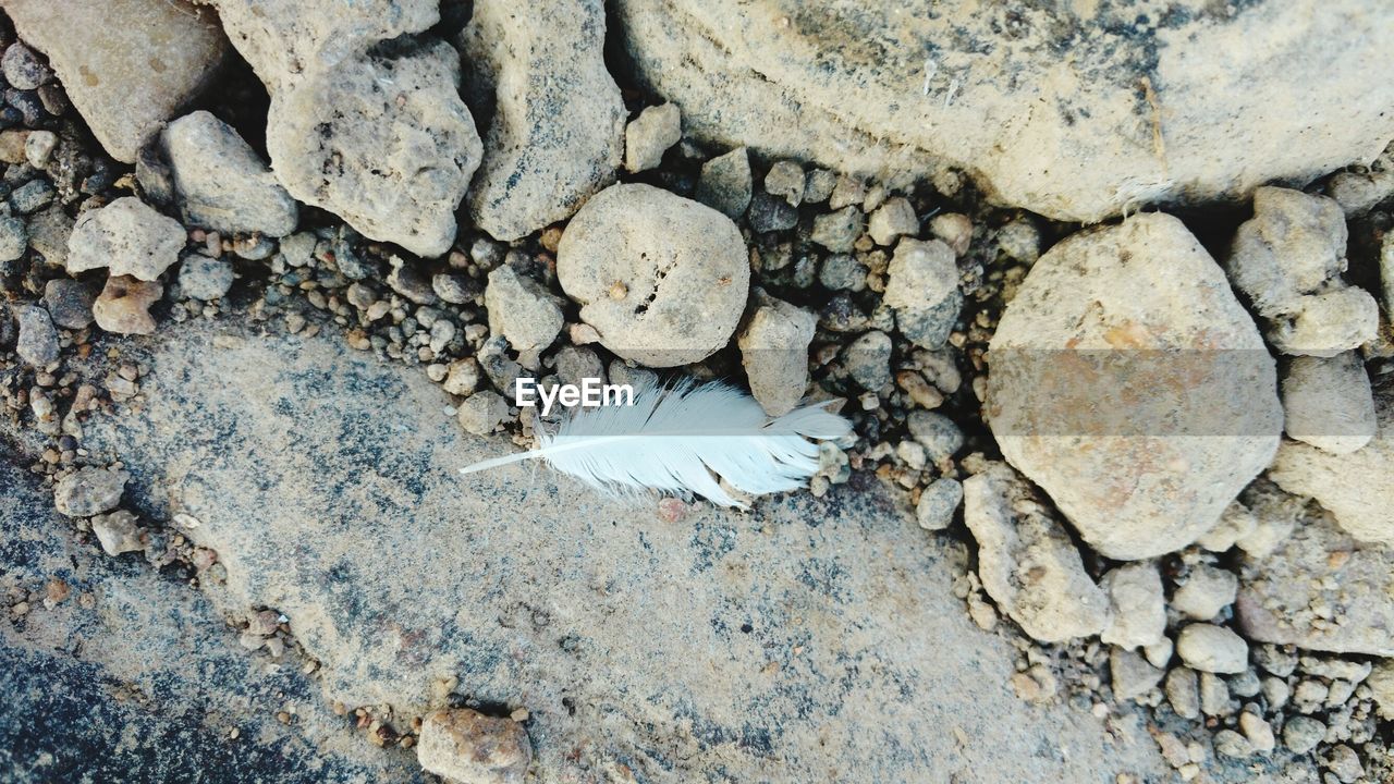 CLOSE-UP OF PEBBLES ON SHORE