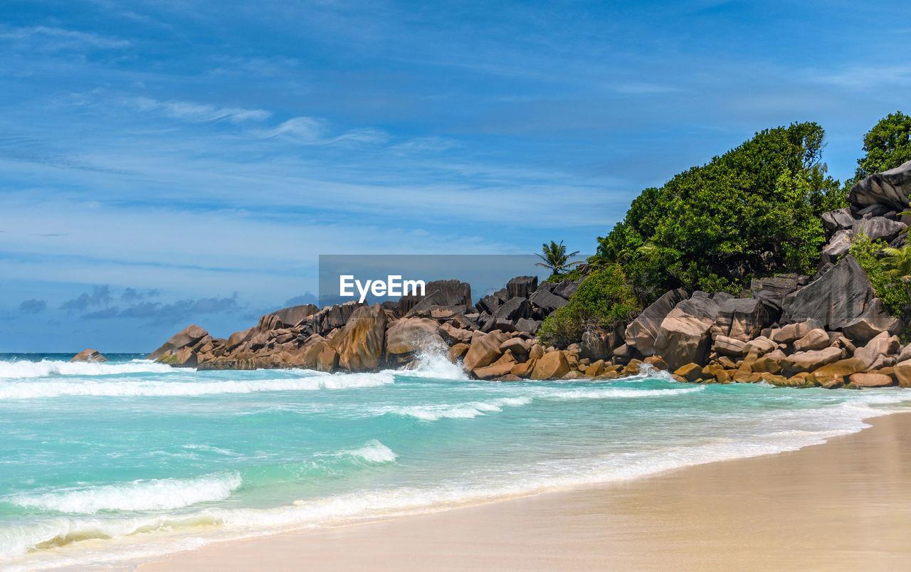 Idyllic tropical beach with sea waves and green palm trees on sunny day in summer.