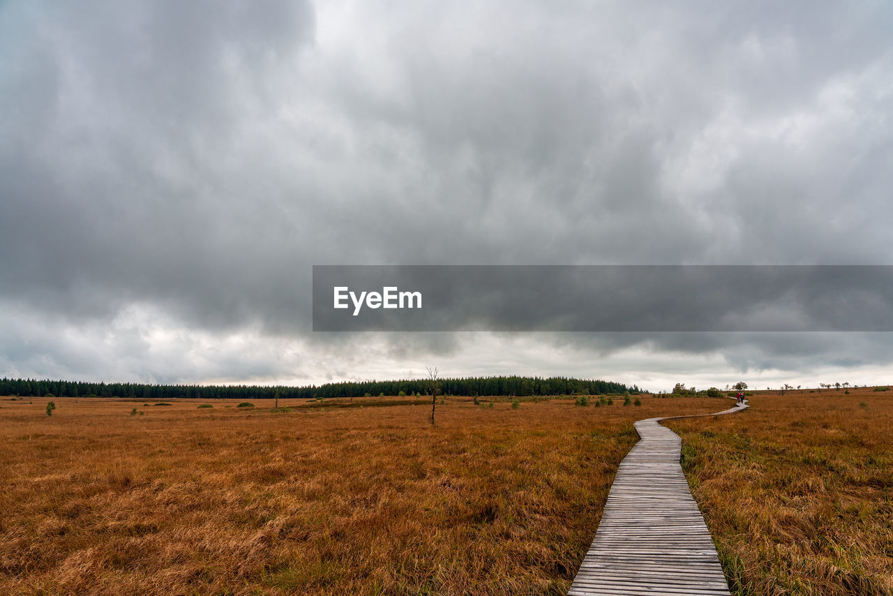 DIRT ROAD ALONG LANDSCAPE