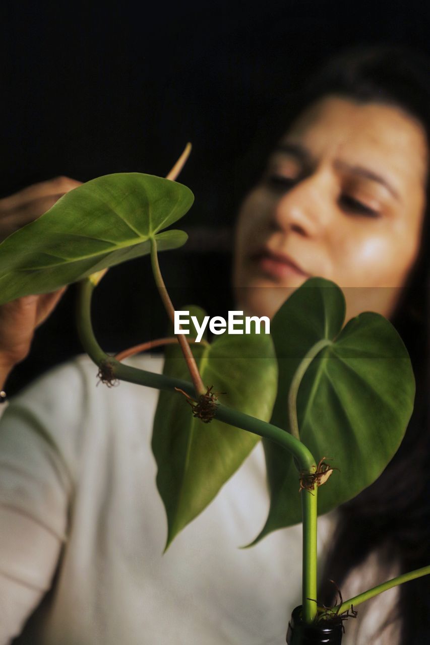 Close-up of a lady doing plant care 