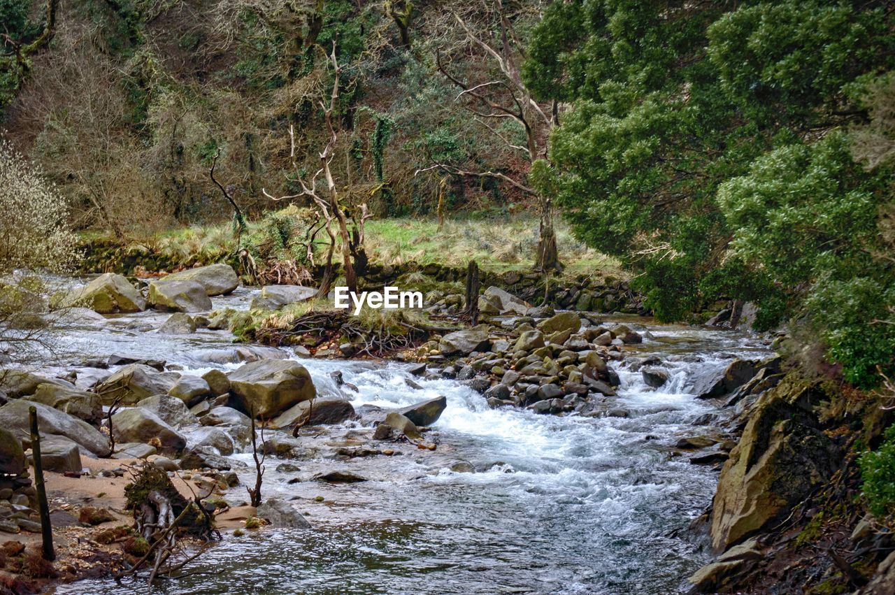 SCENIC VIEW OF RIVER FLOWING THROUGH ROCKS