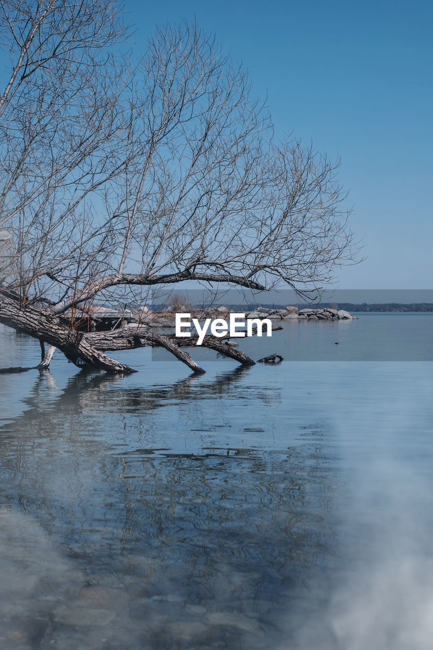 BARE TREE ON SNOW COVERED LANDSCAPE AGAINST SKY