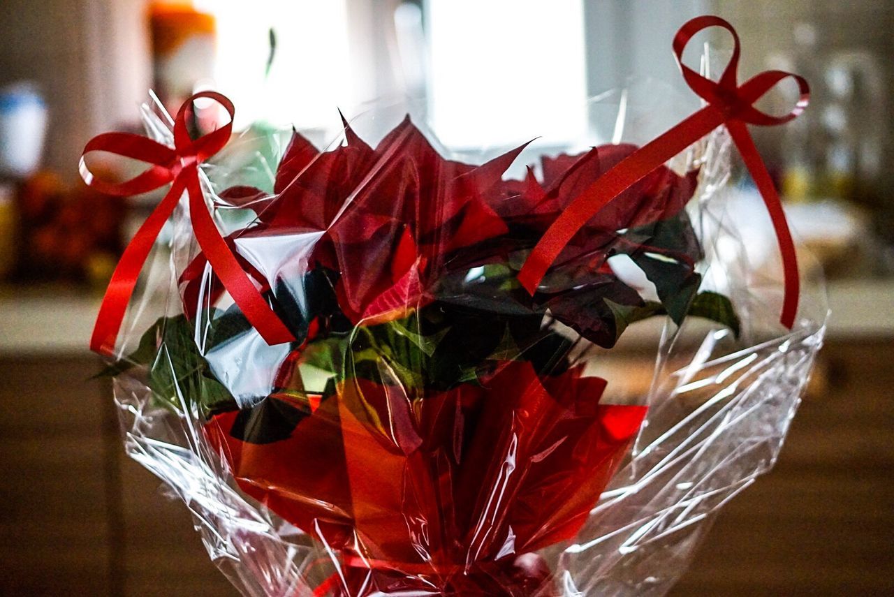 CLOSE-UP OF RED FLOWERS IN PLATE