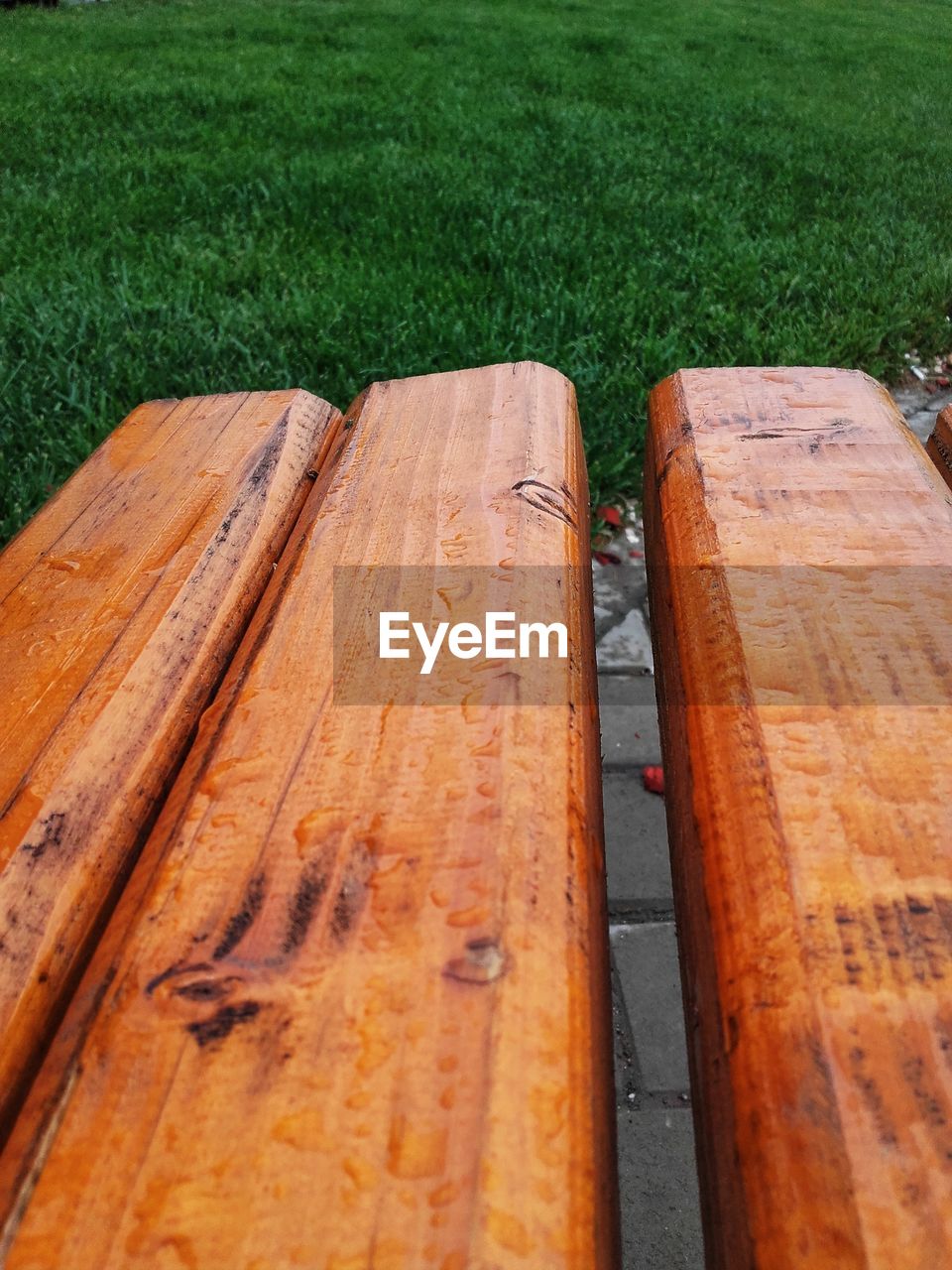 HIGH ANGLE VIEW OF WOOD ON LAND