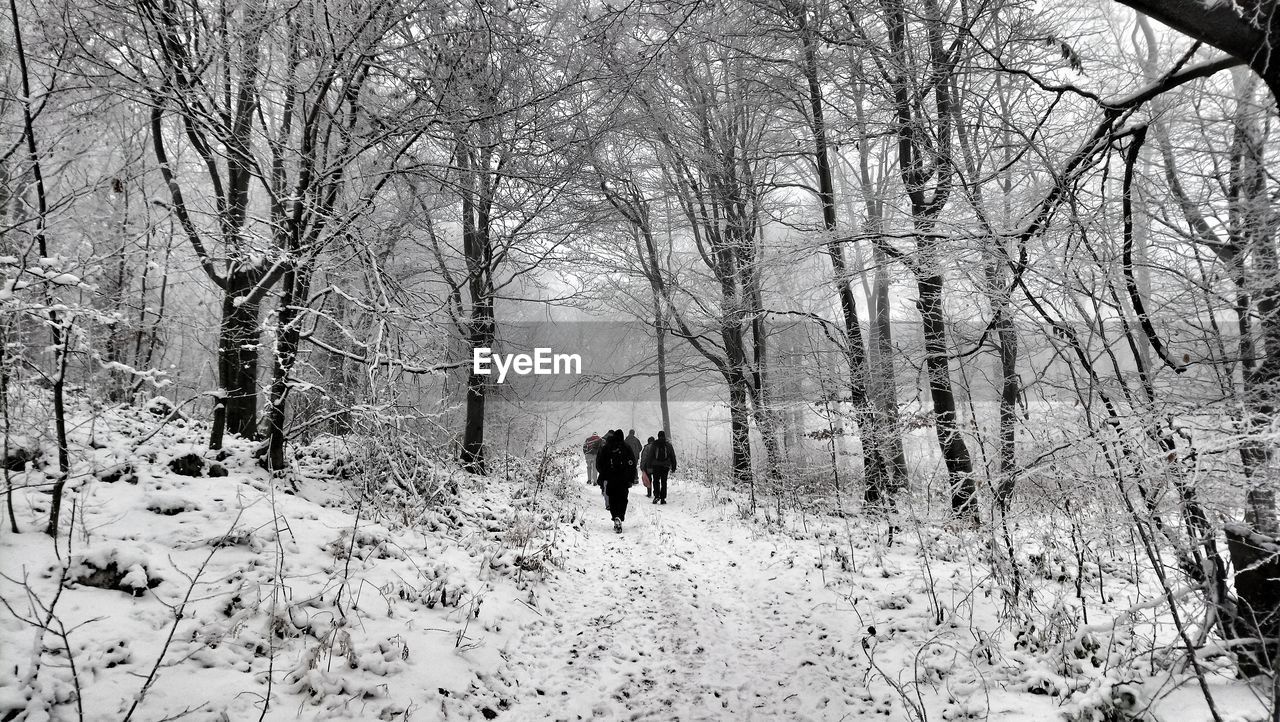 People walking in forest during winter