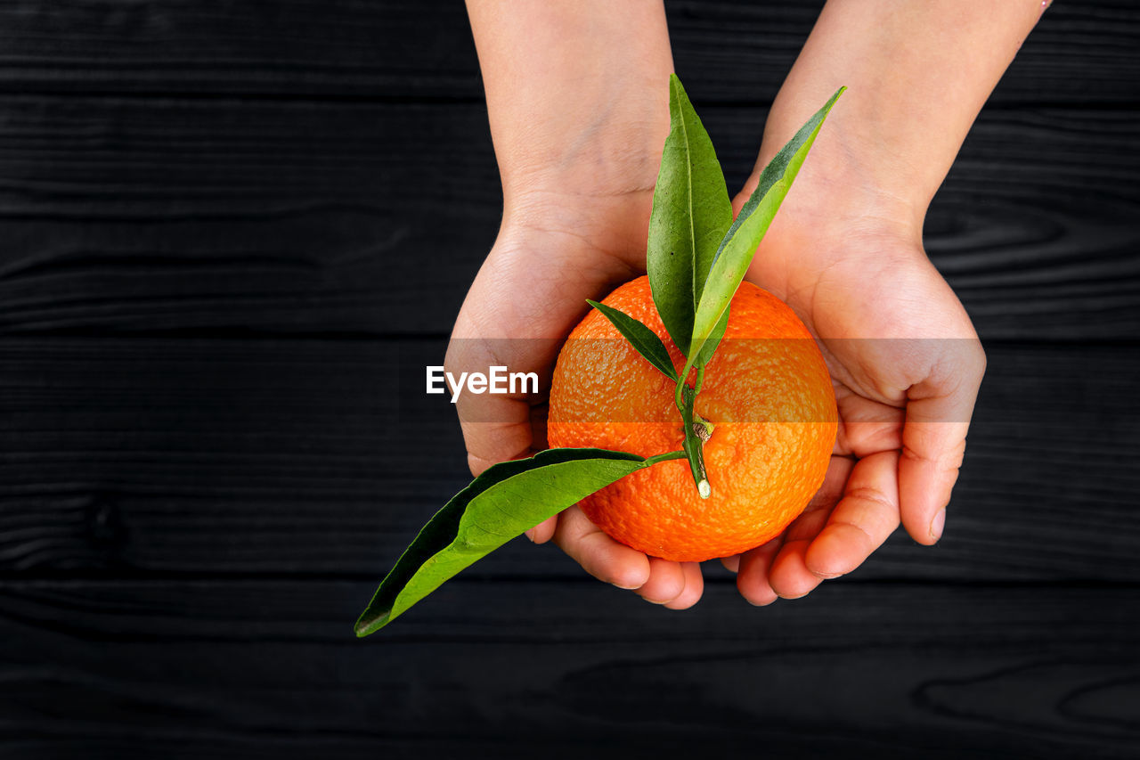 healthy eating, hand, one person, food, food and drink, wellbeing, yellow, freshness, fruit, flower, leaf, orange color, holding, plant part, organic, close-up, orange, adult, green, agriculture, nature, produce, lifestyles, indoors, citrus fruit, studio shot, plant, black background, women, copy space