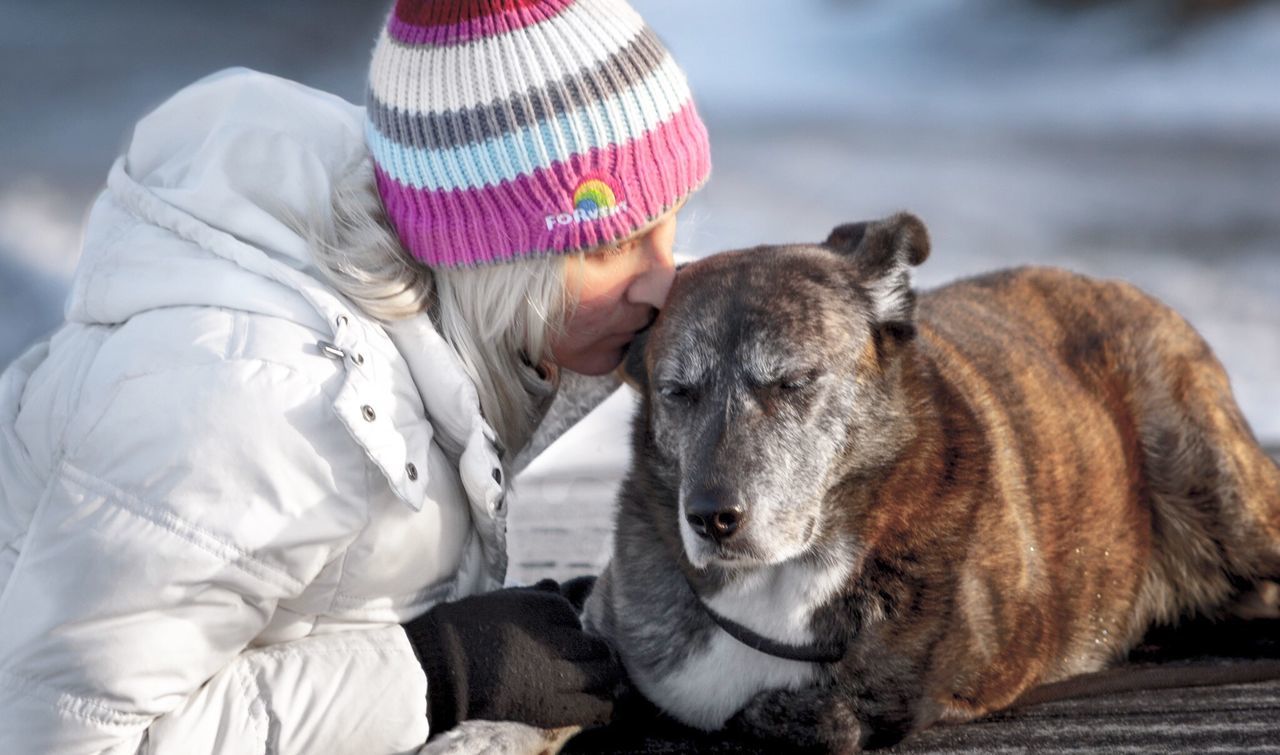 Side view of woman kissing dog during winter