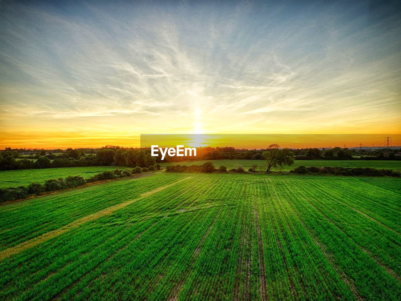 AGRICULTURAL FIELD AGAINST SKY DURING SUNSET
