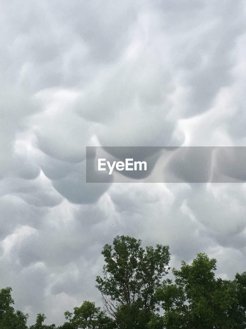 LOW ANGLE VIEW OF TREES AGAINST CLOUDY SKY