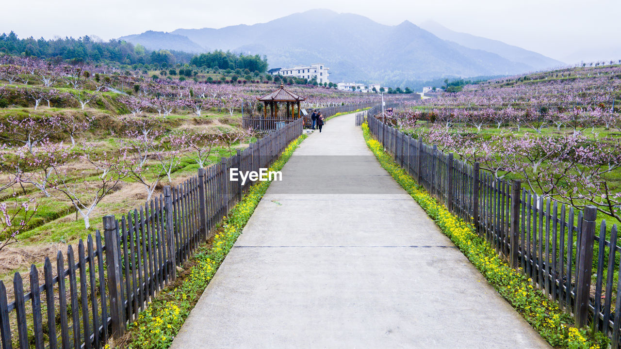 ROAD AMIDST AGRICULTURAL FIELD AND MOUNTAINS