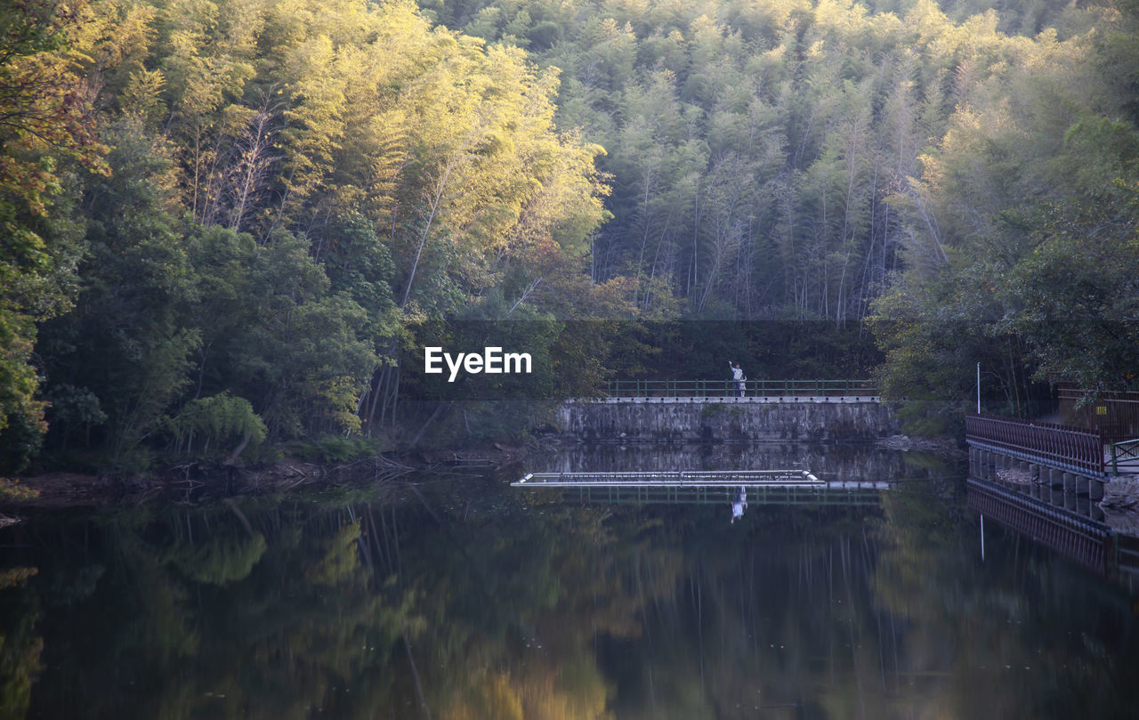 reflection, tree, water, plant, nature, morning, beauty in nature, river, autumn, scenics - nature, tranquility, forest, wilderness, tranquil scene, no people, growth, reservoir, day, non-urban scene, outdoors, environment, architecture, body of water, built structure, landscape, mountain, idyllic, land, leaf, woodland, pond