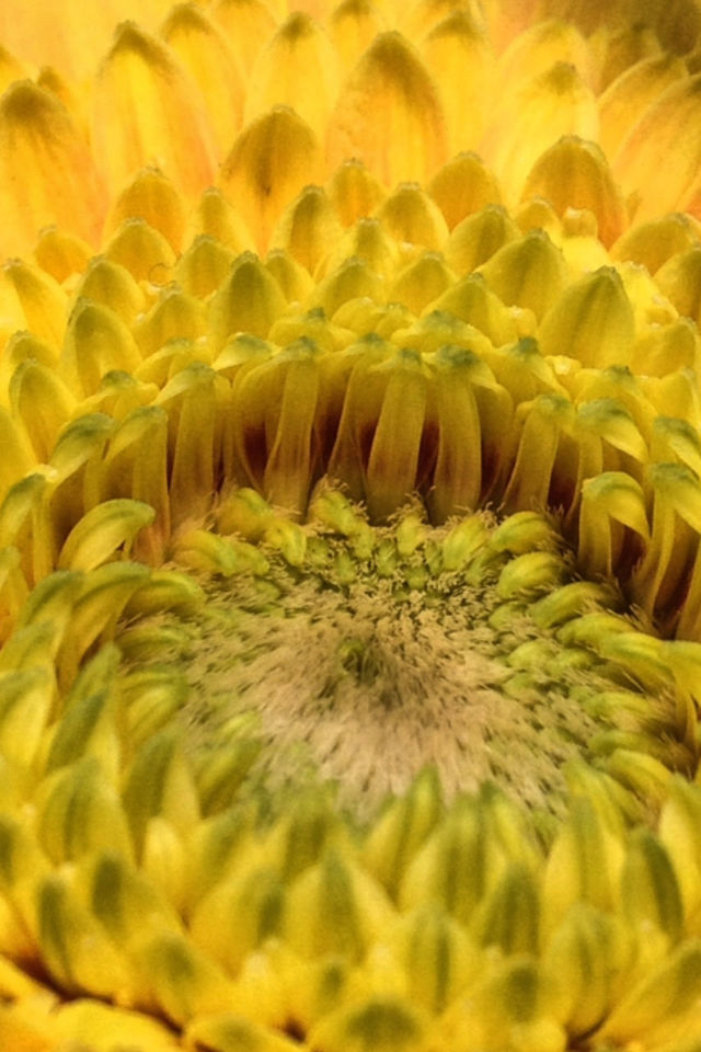 FULL FRAME SHOT OF YELLOW WALL