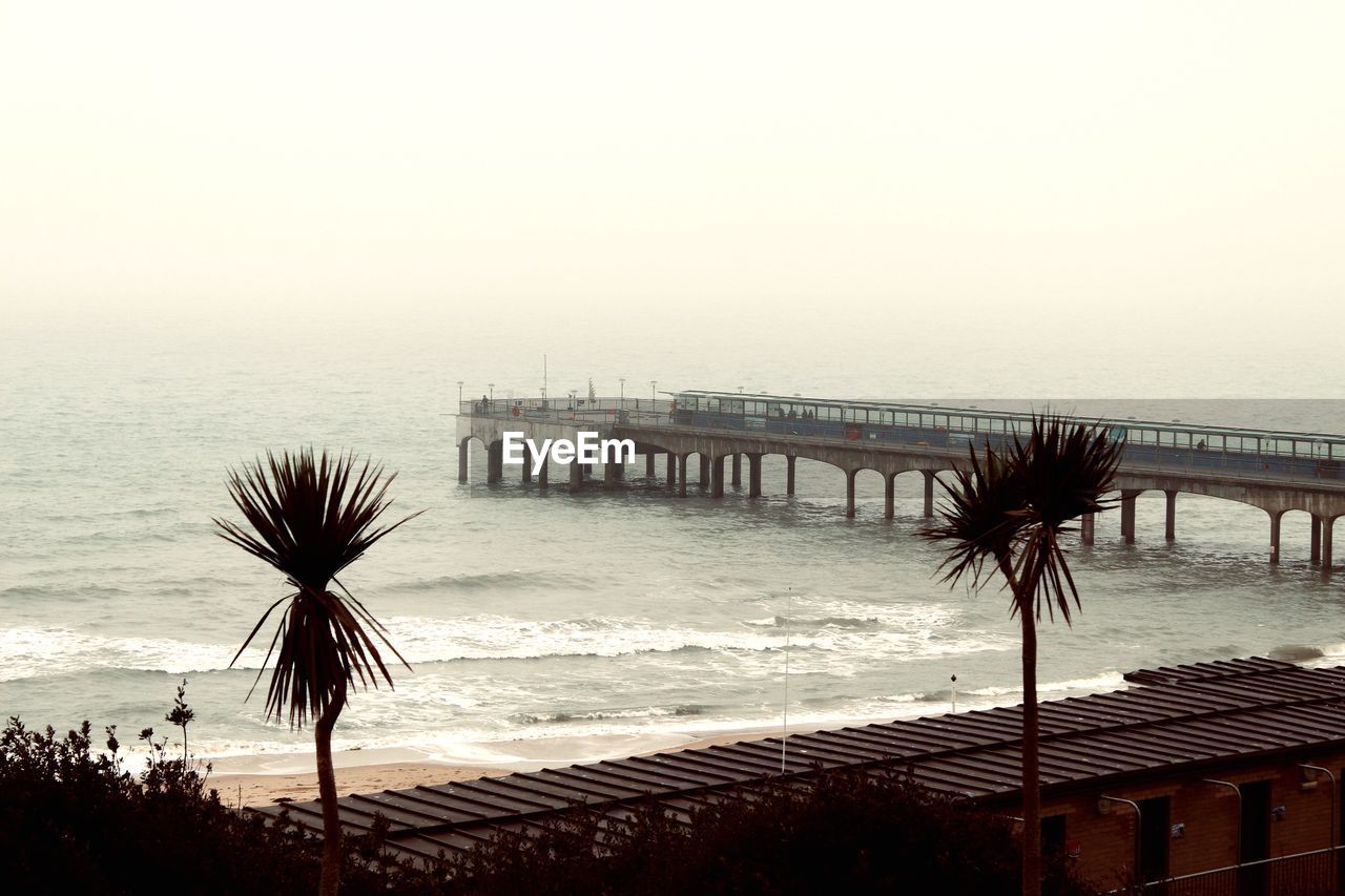 Palm tree by sea against clear sky